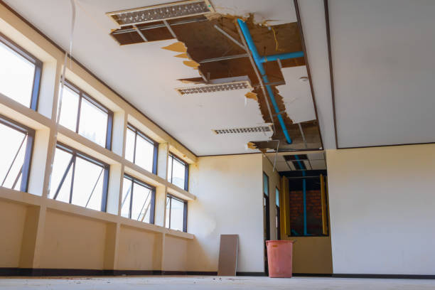 Best Basement water damage restoration  in Martindale, TX
