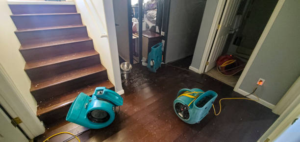 Best Residential water damage restoration  in Martindale, TX
