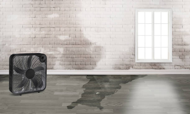 Best Fire Damage Restoration  in Martindale, TX