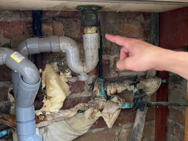 Best Mold removal after water damage  in Martindale, TX