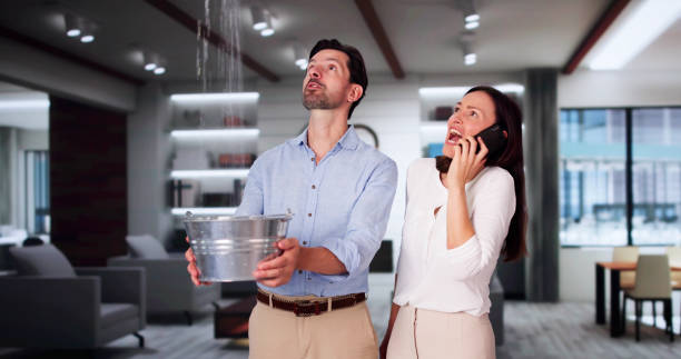 Best Flood restoration services  in Martindale, TX