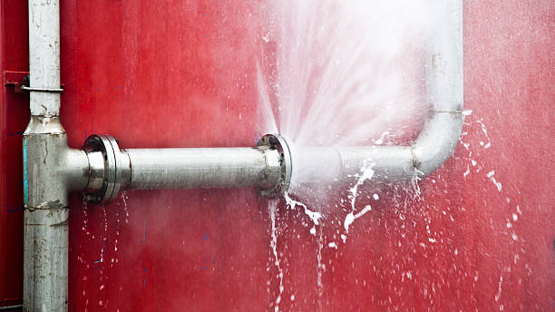 Best Carpet water damage restoration  in Martindale, TX